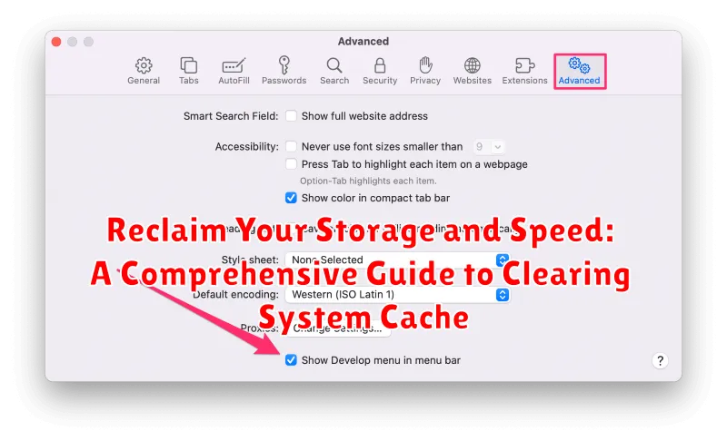 Reclaim Your Storage and Speed: A Comprehensive Guide to Clearing System Cache